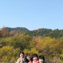 해맑은농장 네이버블로그