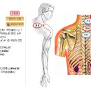 7/12(목), 취혈자침실기 예습자료1 - 수소양삼초경 이미지