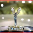 로이스자동차 이미지