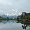 금산-05 | 옥천 금산 하늘물빛정원 카페 - 대전 근교 식물원 뷰 좋은 아이와 가볼만한 곳 추천