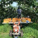 화산농장 이미지