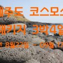 제이제이투어 이미지