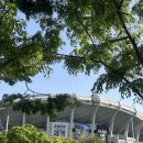 136 | 260421 부산 사직야구장 첫 직관ㅣ롯데 vs 두산,1루 내야상단석 136블럭 1열 후기, 만년닭강정, 응원타올