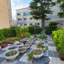 용전초등학교 병설유치원 이미지