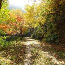 원주굽이길 3코스 회촌달맞이길 이미지