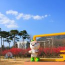 구례의길(섬진강길) 이미지