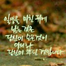 mind (마인드, 마음, 마음임다) 어원 이미지