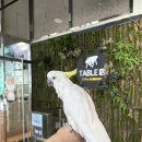 테이블에이 | 파주 야당놀거리 테이블에이동물원 가본 후기