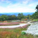 가산수피아 이미지