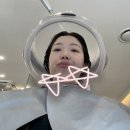 헤어 데일리