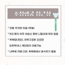 초정차문화 | 청주근교 나들이 초정행궁: 세종대왕도 반한 족욕명소에서의 힐링(미디어아트 부터 족욕탕 체험까지)