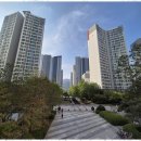 나무공인중개사사무소 | 과천청약 과천에서 만난 최고의 부동산 파트너, 금터공인중개사사무소 후기