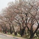 수원-1962 이미지