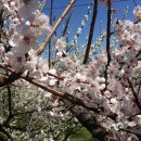 화창농원 이미지