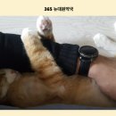 뉴대원약국 이미지