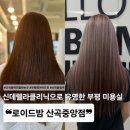 산곡동머리잘하는곳 찾는다면 여기!💇‍♀️ 신데렐라클리닉으로 머릿결 되살린 후기✨