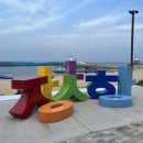 속초 스쿠버다이빙 체험 후기 - 에브리데이다이브