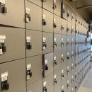 마인드휘트니스 이미지