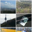 시티카아트 이미지