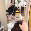 동진2농장 | 엉망진창이어도 그럼에도, 제주는 제주야