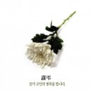 박수광 前음성군수님 소천. 이미지
