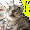 행복한안경원 이미지