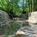 산 vs 바다, 티맵 데이터로 본 최고의 피서지는? 이미지