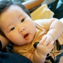 호호 컴퍼니 이미지