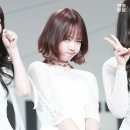캐나다Mama