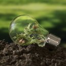 그린빌딩 이미지