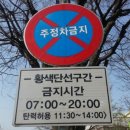 주정차-13 이미지