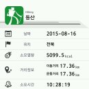 지리산전 Daum카페