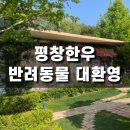 (주)다초조경 | 고퀄인 평창한우 아이들과 반려동물을 위한 프라이빗 공간까지
