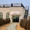 위드독애견스파풀빌라 이미지