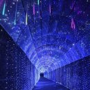 밀양수족관 | [밀양 여행] 3년 만에 다시 찾은 밀양 트윈터널 솔직 후기