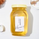 광주북구시니어클럽 자연으로 이미지