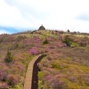 ＜종주＞ 2026년 지리산 화중종주 39.3km 완주!!!!! 이미지