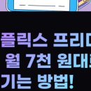 더성인PC 이미지