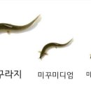 새터남원추어탕