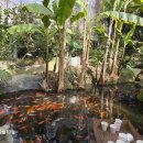 보령시모란공원 식당 이미지