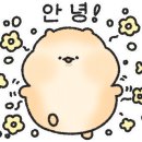 소반작은김밥집 네이버블로그