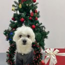 놀러오개 송파점 이미지