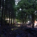 솔향태권도 | [공지] 2018년 캠핑 결산
