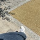 스시고이 | 김이랑 스시데이트