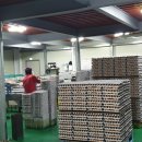 상갑농장 이미지