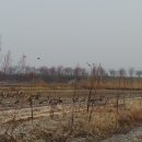 사목1리 이미지