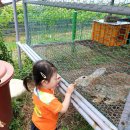 나래농원 이미지