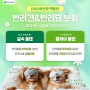 펫블리 이미지