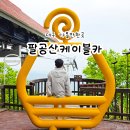 팔공산케이블카 | 대구 가볼만한곳 팔공산 케이블카 가격 및 주말 방문 후기