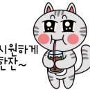 파니아토 이미지